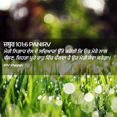 Picture 02 - ਜ਼ਬੂਰ 101:6 PANIRV - ਮੇਰੀ ਨਿਗਾਹ ਦੇਸ ਦੇ - Bible Verse Picture