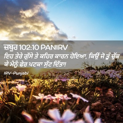 Picture 02 - ਜ਼ਬੂਰ 102:10 PANIRV - ਇਹ ਤੇਰੇ ਗੁੱਸੇ ਤੇ - Bible Verse Picture