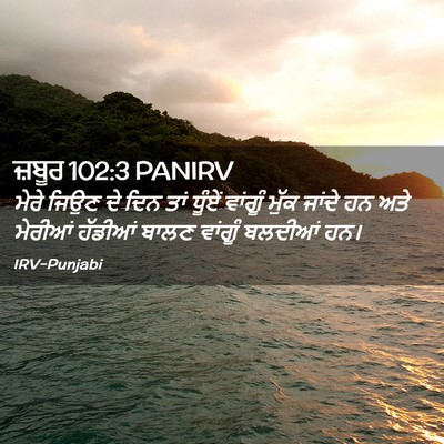 Picture 02 - ਜ਼ਬੂਰ 102:3 PANIRV - ਮੇਰੇ ਜਿਉਣ ਦੇ ਦਿਨ - Bible Verse Picture