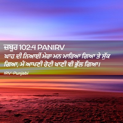 Picture 02 - ਜ਼ਬੂਰ 102:4 PANIRV - ਘਾਹ ਦੀ ਨਿਆਈਂ ਮੇਰਾ - Bible Verse Picture