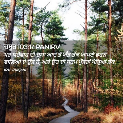 Picture 02 - ਜ਼ਬੂਰ 103:17 PANIRV - ਪਰ ਯਹੋਵਾਹ ਦੀ ਦਯਾ ਆਦ - Bible Verse Picture