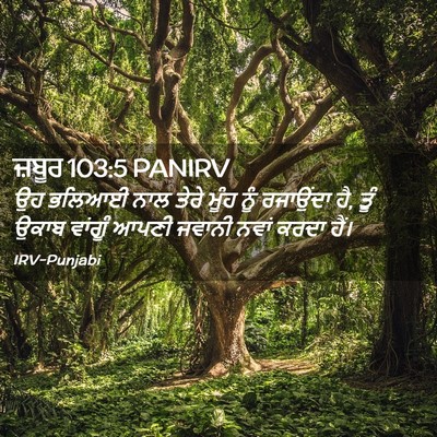 Picture 02 - ਜ਼ਬੂਰ 103:5 PANIRV - ਉਹ ਭਲਿਆਈ ਨਾਲ ਤੇਰੇ - Bible Verse Picture