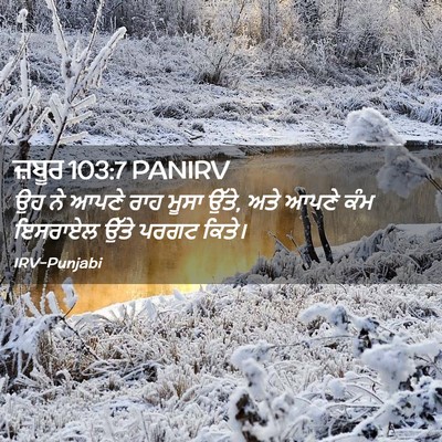 Picture 02 - ਜ਼ਬੂਰ 103:7 PANIRV - ਉਹ ਨੇ ਆਪਣੇ ਰਾਹ ਮੂਸਾ - Bible Verse Picture