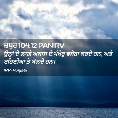Picture 02 - ਜ਼ਬੂਰ 104:12 PANIRV - ਉਨ੍ਹਾਂ ਦੇ ਲਾਗੇ - Bible Verse Picture