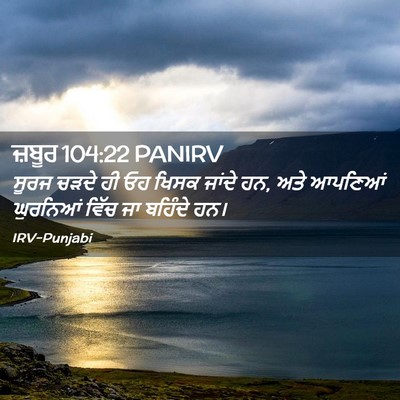 Picture 02 - ਜ਼ਬੂਰ 104:22 PANIRV - ਸੂਰਜ ਚੜਦੇ ਹੀ ਓਹ - Bible Verse Picture