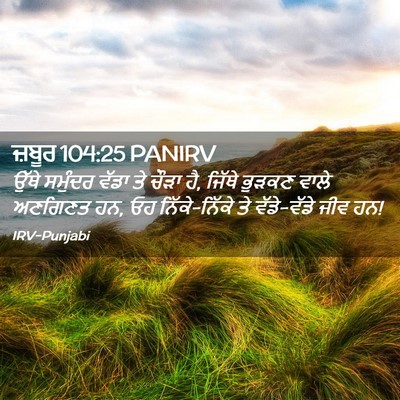 Picture 02 - ਜ਼ਬੂਰ 104:25 PANIRV - ਉੱਥੇ ਸਮੁੰਦਰ ਵੱਡਾ - Bible Verse Picture