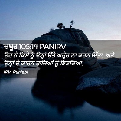 Picture 02 - ਜ਼ਬੂਰ 105:14 PANIRV - ਉਹ ਨੇ ਕਿਸੇ ਨੂੰ - Bible Verse Picture