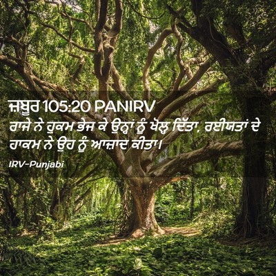Picture 02 - ਜ਼ਬੂਰ 105:20 PANIRV - ਰਾਜੇ ਨੇ ਹੁਕਮ ਭੇਜ ਕੇ - Bible Verse Picture