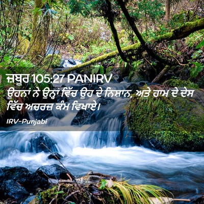 Picture 02 - ਜ਼ਬੂਰ 105:27 PANIRV - ਉਹਨਾਂ ਨੇ ਉਨ੍ਹਾਂ - Bible Verse Picture