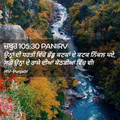 Picture 02 - ਜ਼ਬੂਰ 105:30 PANIRV - ਉਨ੍ਹਾਂ ਦੀ ਧਰਤੀ - Bible Verse Picture