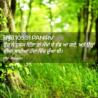 Picture 02 - ਜ਼ਬੂਰ 105:31 PANIRV - ਉਹ ਨੇ ਹੁਕਮ ਦਿੱਤਾ - Bible Verse Picture