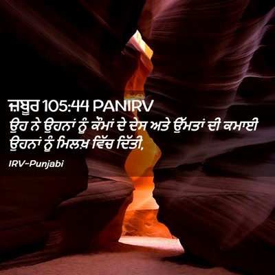 Picture 02 - ਜ਼ਬੂਰ 105:44 PANIRV - ਉਹ ਨੇ ਉਹਨਾਂ ਨੂੰ - Bible Verse Picture