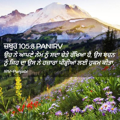 Picture 02 - ਜ਼ਬੂਰ 105:8 PANIRV - ਉਹ ਨੇ ਆਪਣੇ ਨੇਮ ਨੂੰ - Bible Verse Picture