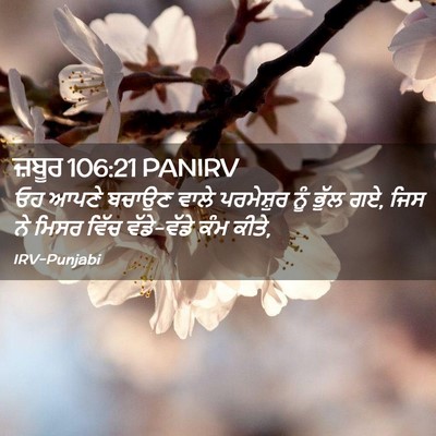 Picture 02 - ਜ਼ਬੂਰ 106:21 PANIRV - ਓਹ ਆਪਣੇ ਬਚਾਉਣ ਵਾਲੇ - Bible Verse Picture