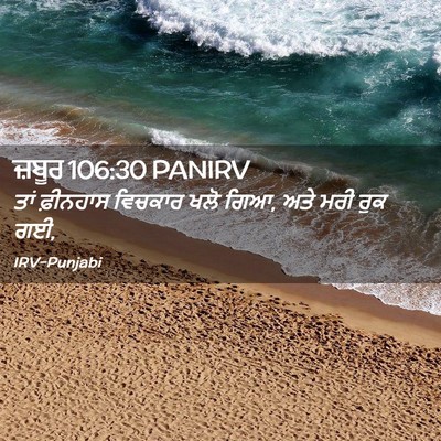 Picture 02 - ਜ਼ਬੂਰ 106:30 PANIRV - ਤਾਂ ਫ਼ੀਨਹਾਸ - Bible Verse Picture
