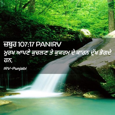 Picture 02 - ਜ਼ਬੂਰ 107:17 PANIRV - ਮੂਰਖ ਆਪਣੇ ਕੁਚਲਣ ਤੇ - Bible Verse Picture
