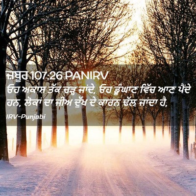 Picture 02 - ਜ਼ਬੂਰ 107:26 PANIRV - ਓਹ ਅਕਾਸ਼ ਤੱਕ ਚੜ੍ਹ - Bible Verse Picture