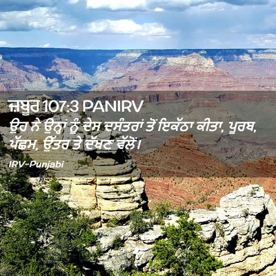 Picture 02 - ਜ਼ਬੂਰ 107:3 PANIRV - ਉਹ ਨੇ ਉਨ੍ਹਾਂ ਨੂੰ - Bible Verse Picture