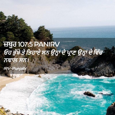 Picture 02 - ਜ਼ਬੂਰ 107:5 PANIRV - ਓਹ ਭੁੱਖੇ ਤੇ ਤਿਹਾਏ - Bible Verse Picture