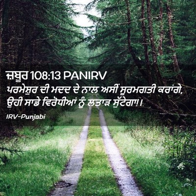 Picture 02 - ਜ਼ਬੂਰ 108:13 PANIRV - ਪਰਮੇਸ਼ੁਰ ਦੀ ਮਦਦ ਦੇ - Bible Verse Picture