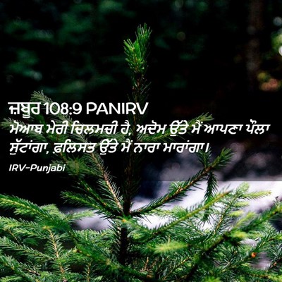 Picture 02 - ਜ਼ਬੂਰ 108:9 PANIRV - ਮੋਆਬ ਮੇਰੀ ਚਿਲਮਚੀ - Bible Verse Picture