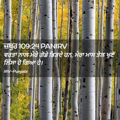 Picture 02 - ਜ਼ਬੂਰ 109:24 PANIRV - ਵਰਤਾਂ ਨਾਲ ਮੇਰੇ - Bible Verse Picture