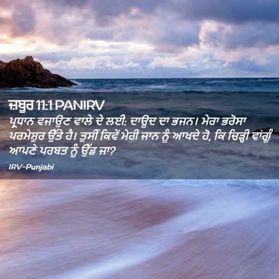 Picture 02 - ਜ਼ਬੂਰ 11:1 PANIRV - ਪ੍ਰਧਾਨ ਵਜਾਉਣ ਵਾਲੇ - Bible Verse Picture