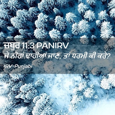 Picture 02 - ਜ਼ਬੂਰ 11:3 PANIRV - ਜੇ ਨੀਹਾਂ ਢਾਹੀਆਂ - Bible Verse Picture