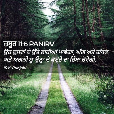 Picture 02 - ਜ਼ਬੂਰ 11:6 PANIRV - ਉਹ ਦੁਸ਼ਟਾਂ ਦੇ ਉੱਤੇ - Bible Verse Picture