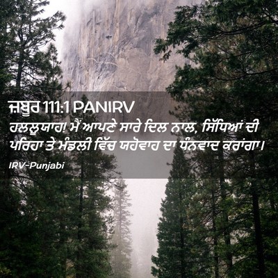 Picture 02 - ਜ਼ਬੂਰ 111:1 PANIRV - ਹਲਲੂਯਾਹ! ਮੈਂ ਆਪਣੇ - Bible Verse Picture