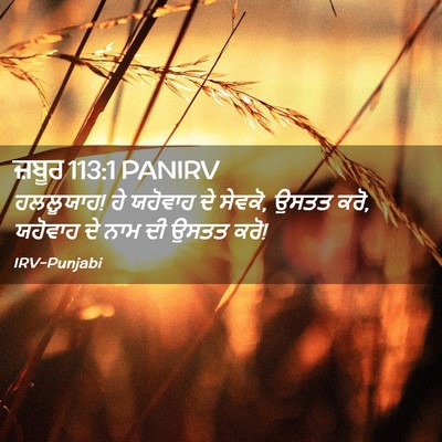Picture 02 - ਜ਼ਬੂਰ 113:1 PANIRV - ਹਲਲੂਯਾਹ! ਹੇ ਯਹੋਵਾਹ - Bible Verse Picture