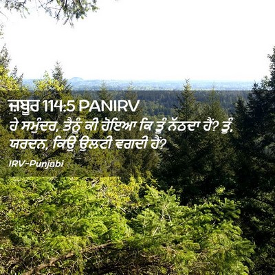 Picture 02 - ਜ਼ਬੂਰ 114:5 PANIRV - ਹੇ ਸਮੁੰਦਰ, ਤੈਨੂੰ ਕੀ - Bible Verse Picture