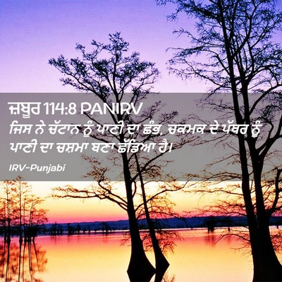 Picture 02 - ਜ਼ਬੂਰ 114:8 PANIRV - ਜਿਸ ਨੇ ਚੱਟਾਨ ਨੂੰ - Bible Verse Picture