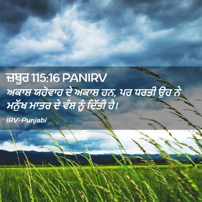 Picture 02 - ਜ਼ਬੂਰ 115:16 PANIRV - ਅਕਾਸ਼ ਯਹੋਵਾਹ ਦੇ - Bible Verse Picture