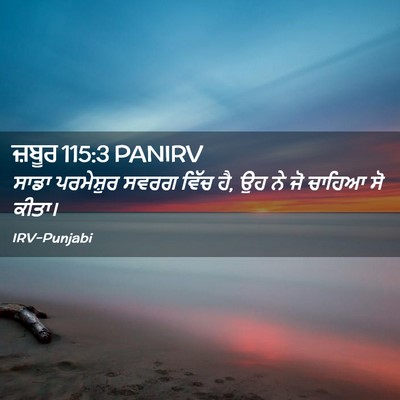 Picture 02 - ਜ਼ਬੂਰ 115:3 PANIRV - ਸਾਡਾ ਪਰਮੇਸ਼ੁਰ - Bible Verse Picture
