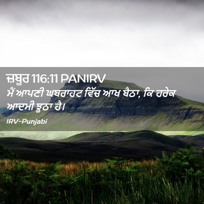 Picture 02 - ਜ਼ਬੂਰ 116:11 PANIRV - ਮੈਂ ਆਪਣੀ ਘਬਰਾਹਟ - Bible Verse Picture