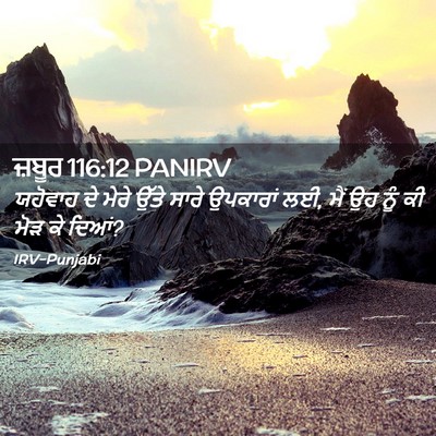 Picture 02 - ਜ਼ਬੂਰ 116:12 PANIRV - ਯਹੋਵਾਹ ਦੇ ਮੇਰੇ - Bible Verse Picture