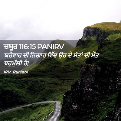 Picture 02 - ਜ਼ਬੂਰ 116:15 PANIRV - ਯਹੋਵਾਹ ਦੀ ਨਿਗਾਹ - Bible Verse Picture