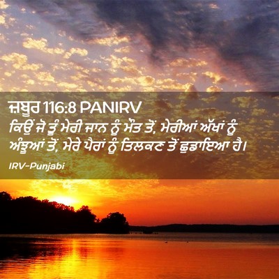 Picture 02 - ਜ਼ਬੂਰ 116:8 PANIRV - ਕਿਉਂ ਜੋ ਤੂੰ ਮੇਰੀ - Bible Verse Picture