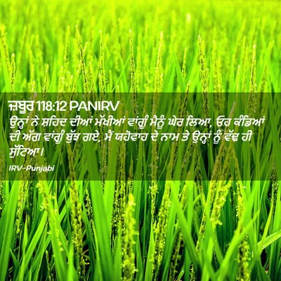 Picture 02 - ਜ਼ਬੂਰ 118:12 PANIRV - ਉਨ੍ਹਾਂ ਨੇ ਸ਼ਹਿਦ - Bible Verse Picture