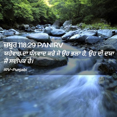 Picture 02 - ਜ਼ਬੂਰ 118:29 PANIRV - ਯਹੋਵਾਹ ਦਾ ਧੰਨਵਾਦ - Bible Verse Picture