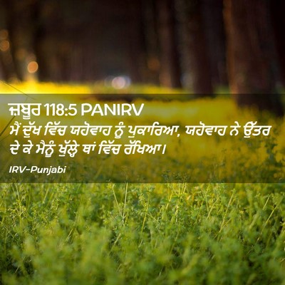 Picture 02 - ਜ਼ਬੂਰ 118:5 PANIRV - ਮੈਂ ਦੁੱਖ ਵਿੱਚ - Bible Verse Picture