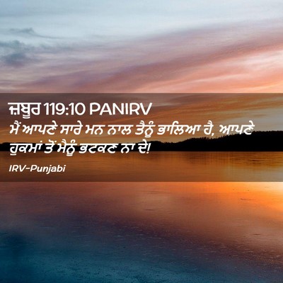 Picture 02 - ਜ਼ਬੂਰ 119:10 PANIRV - ਮੈਂ ਆਪਣੇ ਸਾਰੇ ਮਨ - Bible Verse Picture