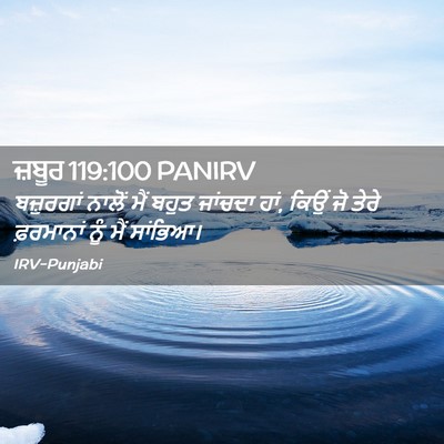 Picture 02 - ਜ਼ਬੂਰ 119:100 PANIRV - ਬਜ਼ੁਰਗਾਂ ਨਾਲੋਂ - Bible Verse Picture