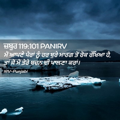 Picture 02 - ਜ਼ਬੂਰ 119:101 PANIRV - ਮੈਂ ਆਪਣੇ ਪੈਰਾਂ ਨੂੰ - Bible Verse Picture