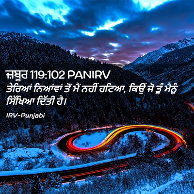 Picture 02 - ਜ਼ਬੂਰ 119:102 PANIRV - ਤੇਰਿਆਂ ਨਿਆਂਵਾਂ - Bible Verse Picture
