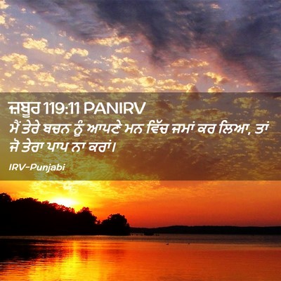 Picture 02 - ਜ਼ਬੂਰ 119:11 PANIRV - ਮੈਂ ਤੇਰੇ ਬਚਨ ਨੂੰ - Bible Verse Picture