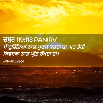 Picture 02 - ਜ਼ਬੂਰ 119:113 PANIRV - ਮੈਂ ਦੁਚਿੱਤਿਆਂ ਨਾਲ - Bible Verse Picture