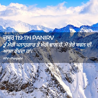 Picture 02 - ਜ਼ਬੂਰ 119:114 PANIRV - ਤੂੰ ਮੇਰੀ ਪਨਾਹਗਾਰ - Bible Verse Picture