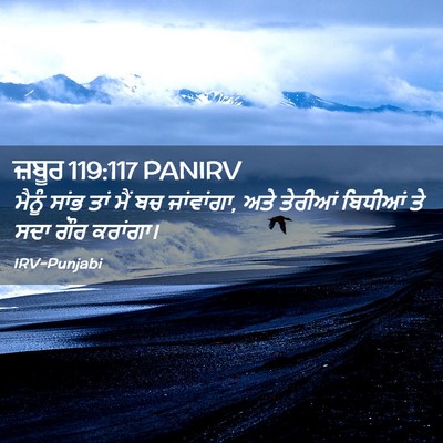 Picture 02 - ਜ਼ਬੂਰ 119:117 PANIRV - ਮੈਨੂੰ ਸਾਂਭ ਤਾਂ ਮੈਂ - Bible Verse Picture
